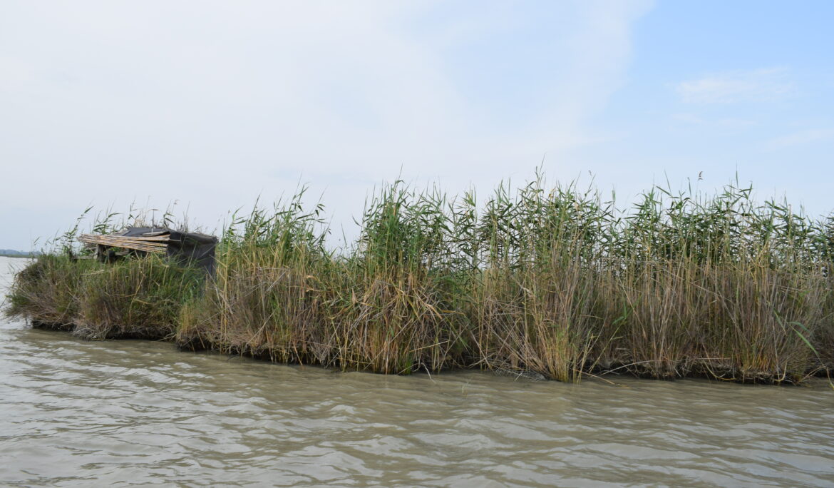 Dipsiz Lagün Sulak Alanı