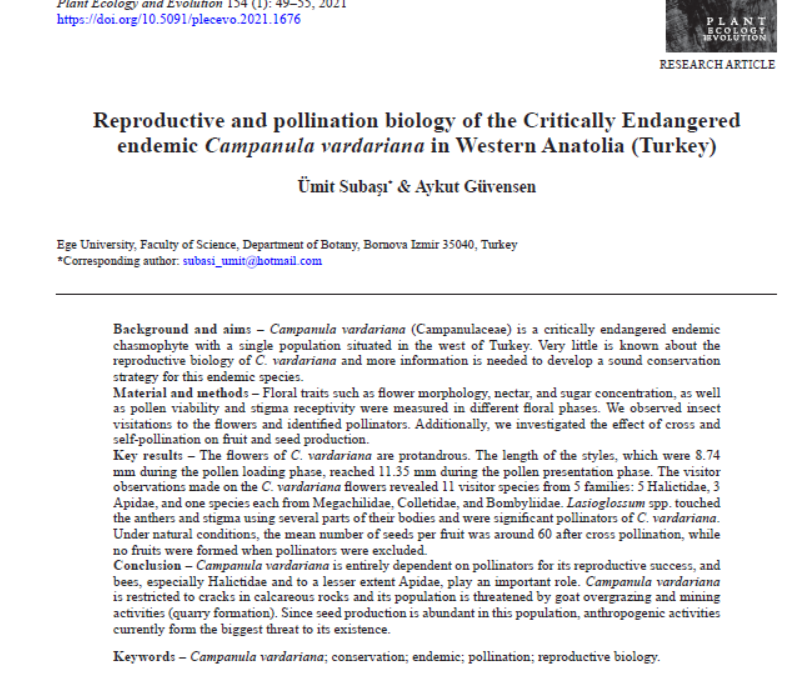 Campanula vardariana