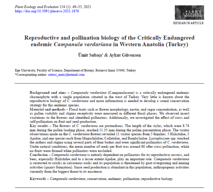 Campanula vardariana